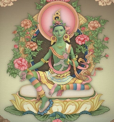 tara-juny-20_opt