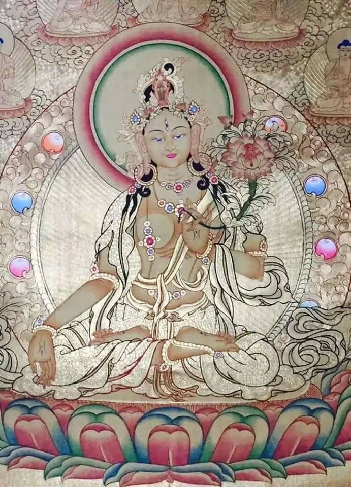 tara-juny-20_opt