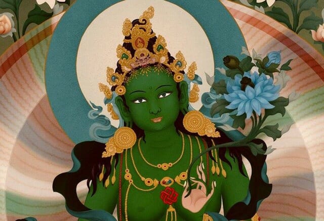 tara-juny-20_opt