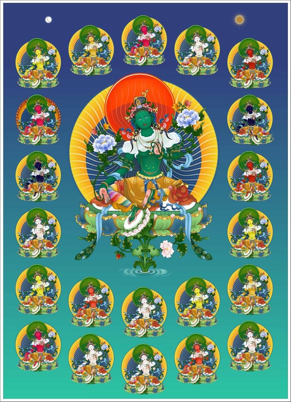 tara-juny-20_opt
