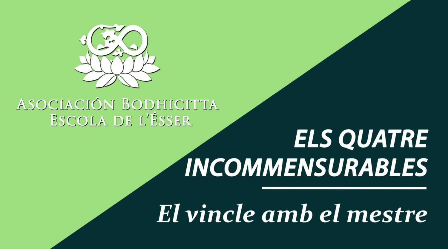 Caratula video 1 vinculo maestros CAT