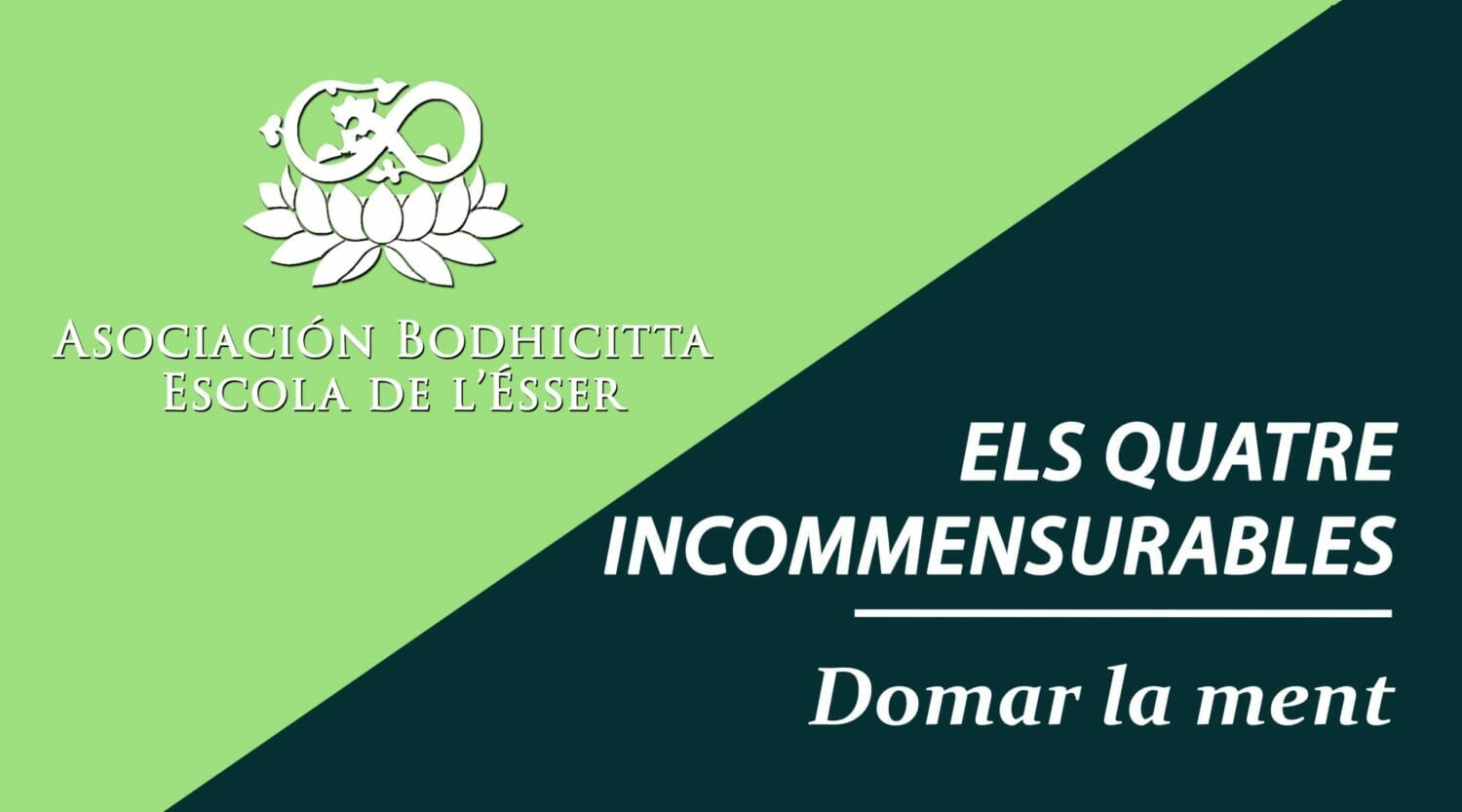 Caratula video 2 Domar la ment CAT