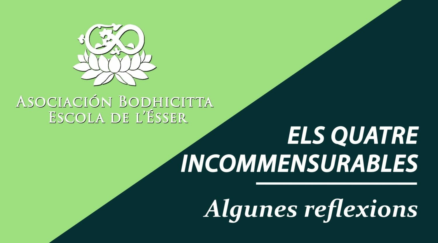 Caratula video 4 reflexions CAT