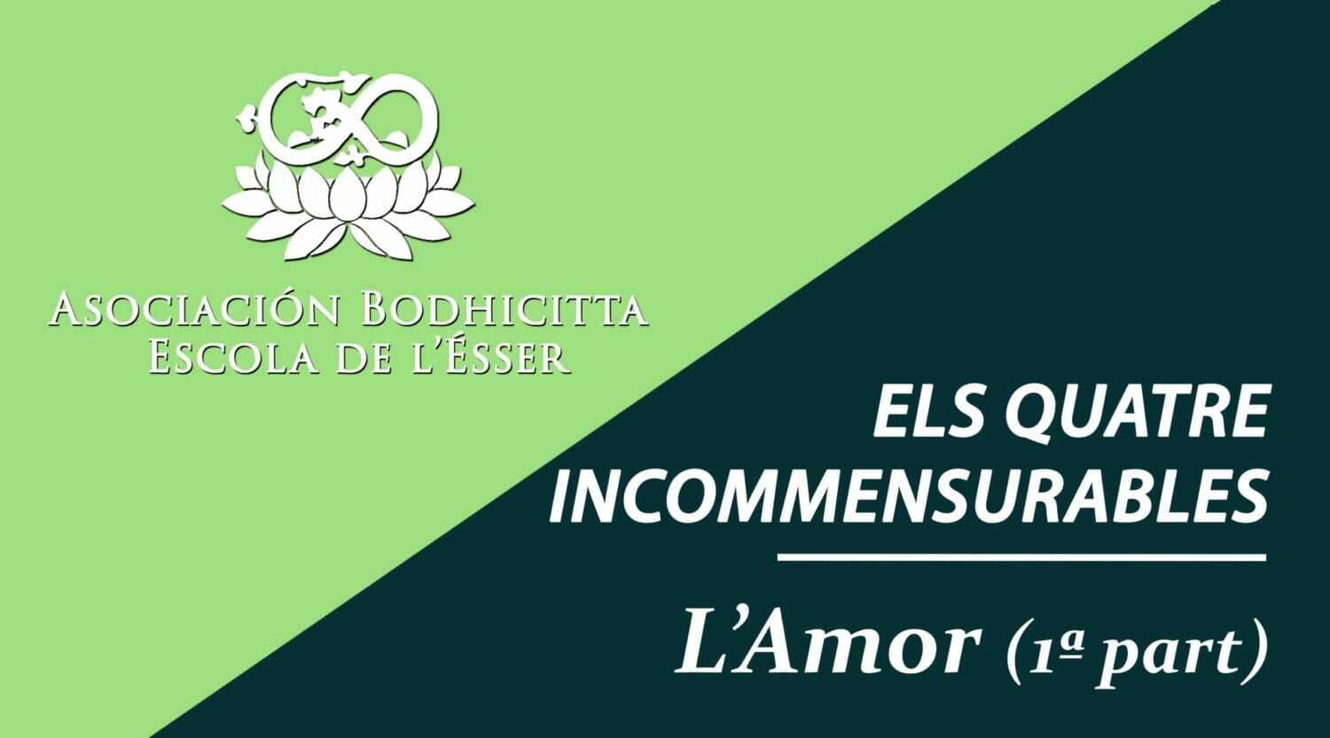 Caratula video 5 amor I CAT
