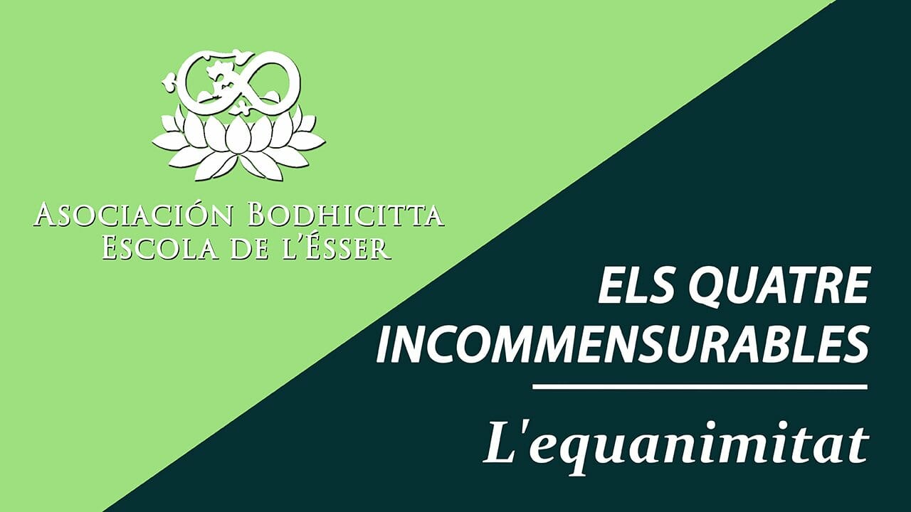Caratula video 9 ecuanimitat CATAL