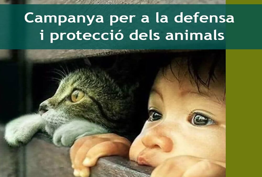 Campaña-animales-definitivo-CAT