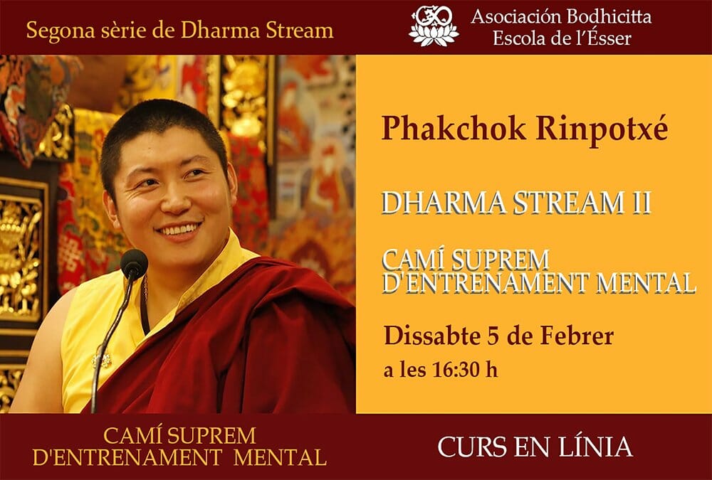 Cartel-Dharma-Stream-II-CAT