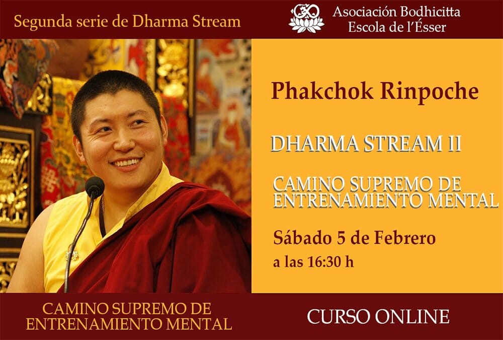 Cartel-Dharma-Stream-II