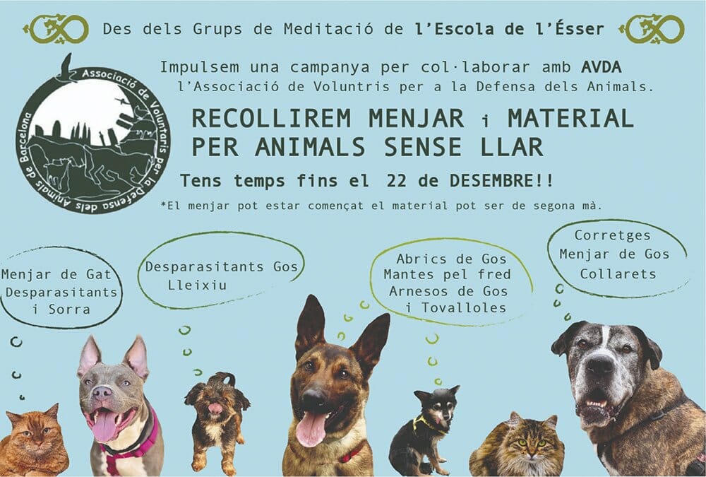Recollida de menjar per animals sense llar