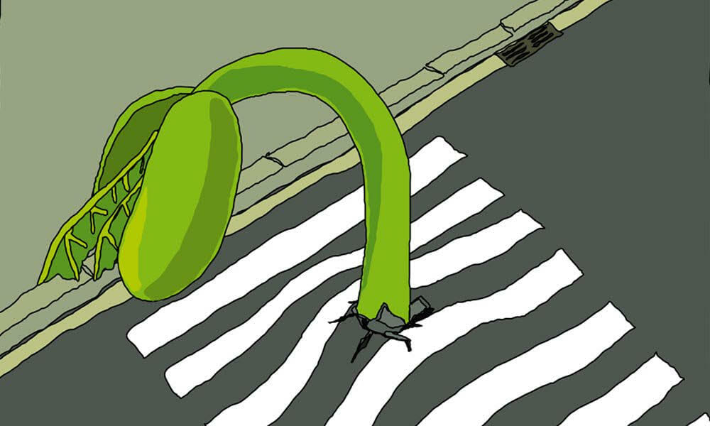 El teatro se detiene y se silencia