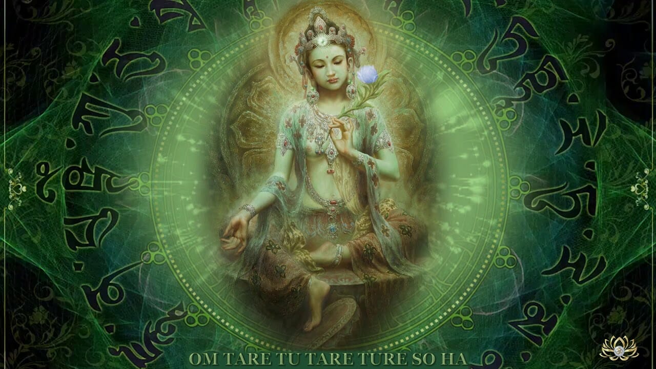 tara-28-juny-20-