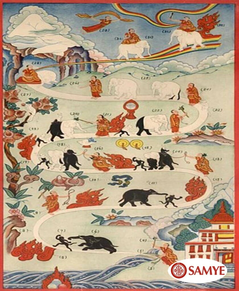 TODOS PODEMOS MEDITAR: CUIDAR NUESTRAS MENTES Tulku Migmar Tsering