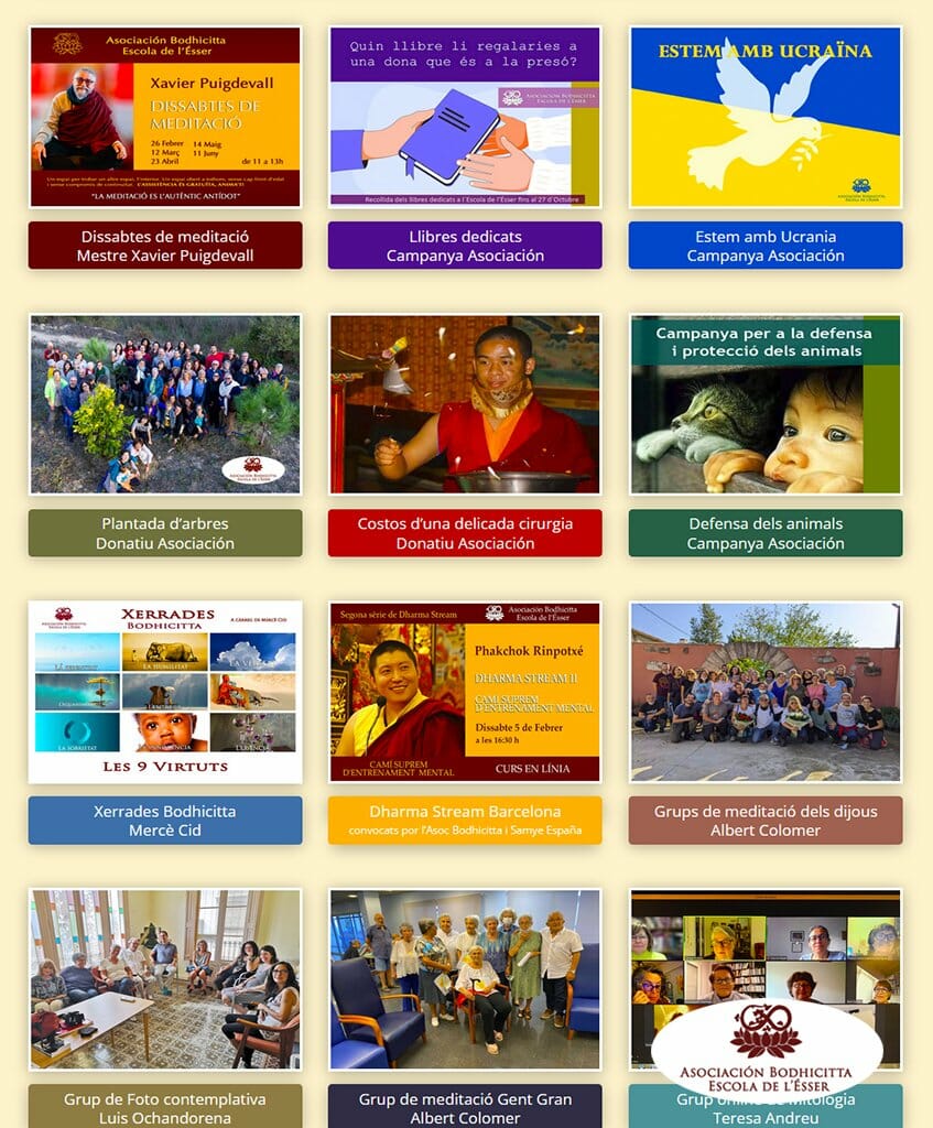 ACCIONS BODHICITTA DE L’ASOCIACIÓN 2022